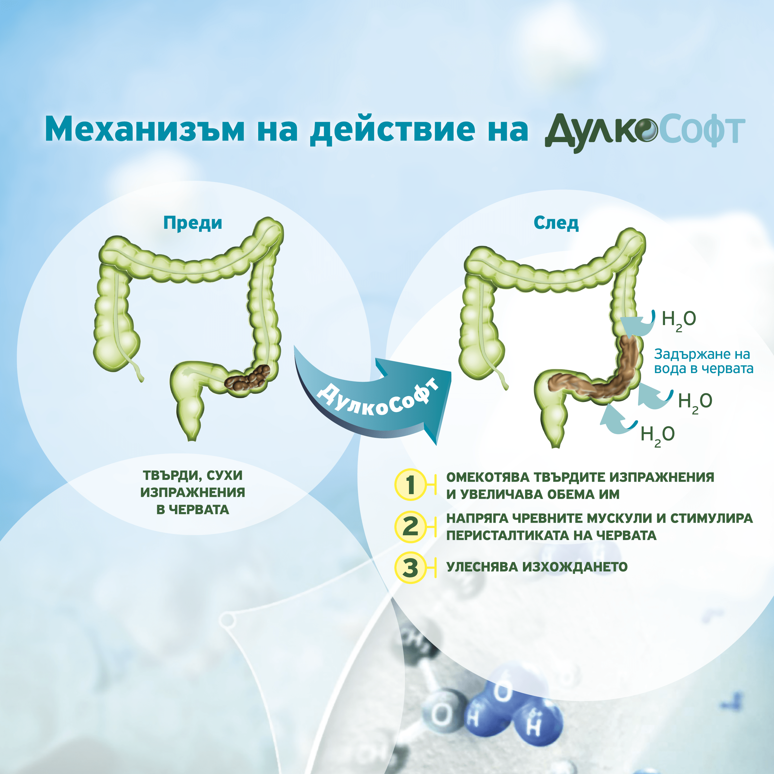 Дулкософт схема